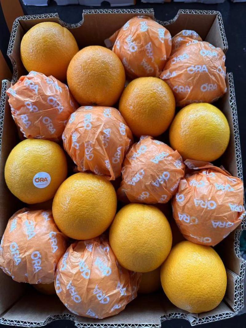 埃及橙，产地直发。货源充足，量大从优，品质保证