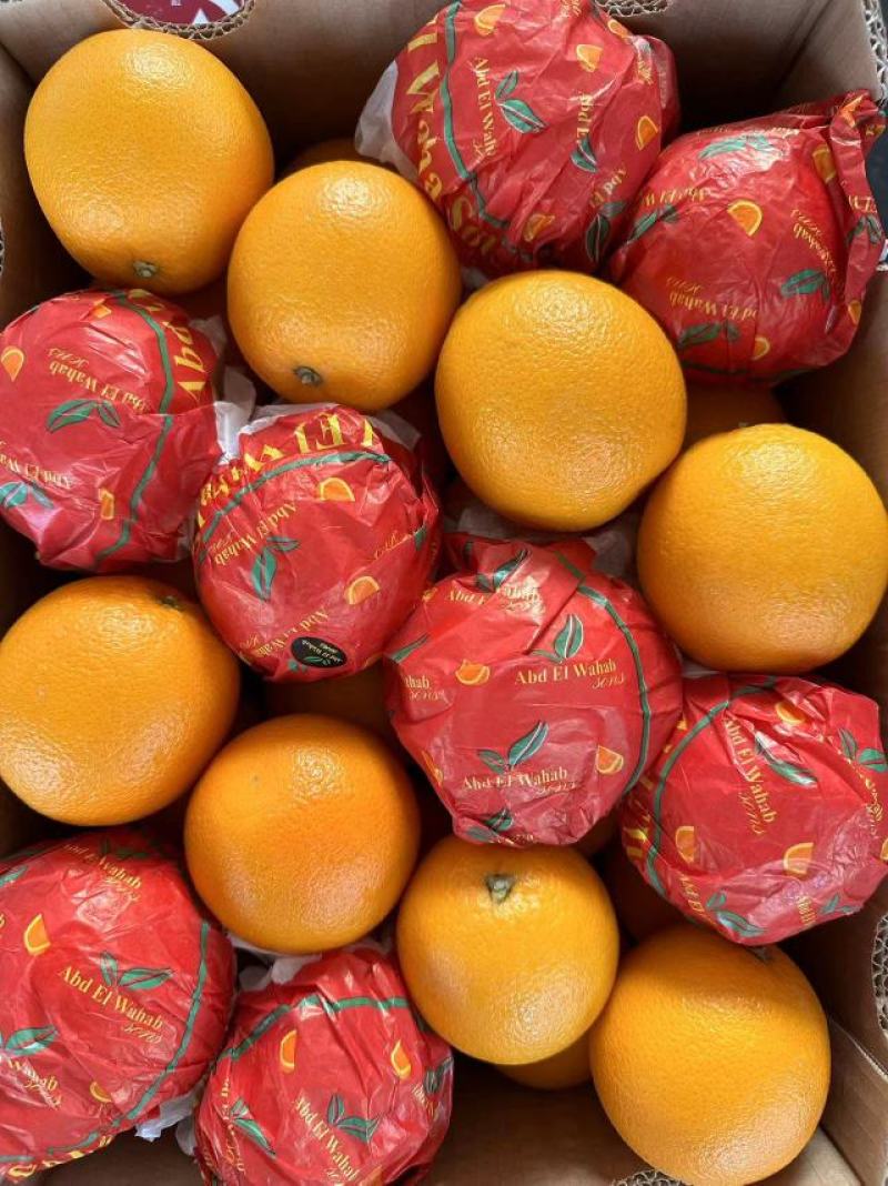 埃及橙，产地直发。货源充足，量大从优，品质保证