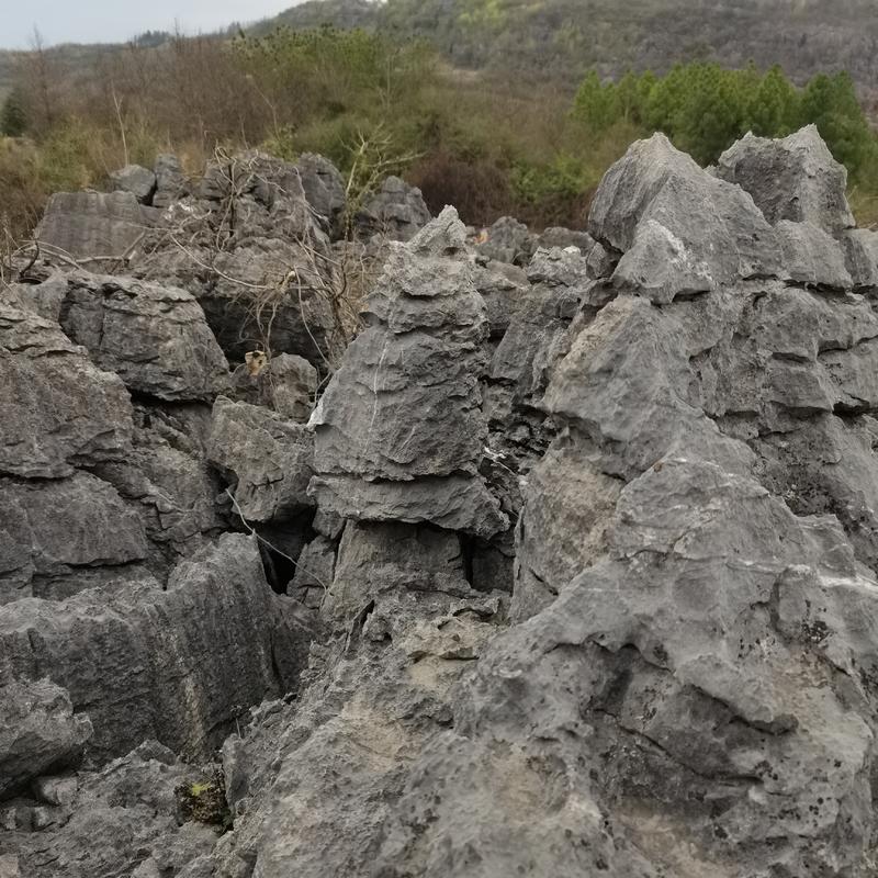 大量假山石