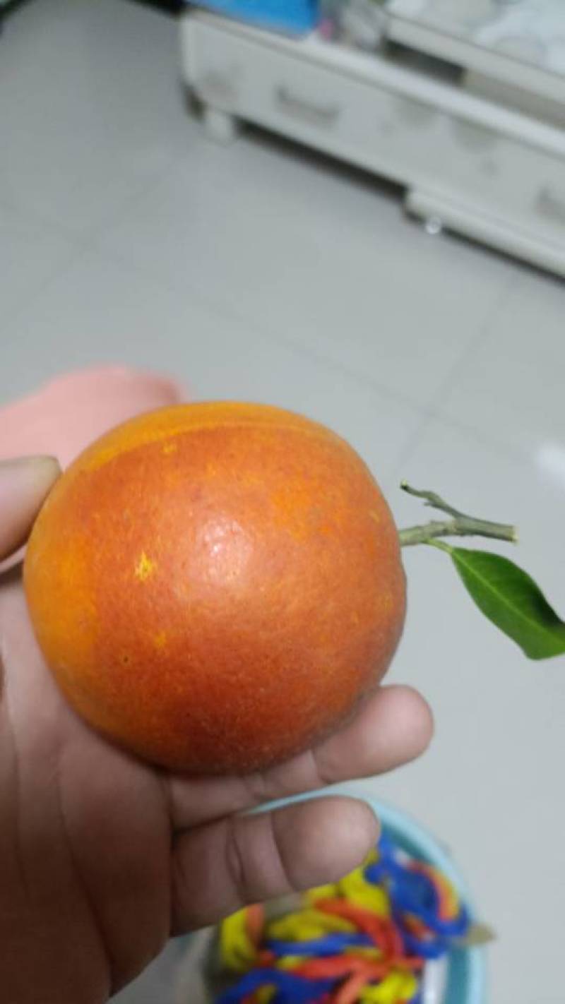 【资中县果园新鲜上市】多种水果供应，品质保证，欢迎选购！