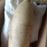 高山白萝卜甜脆水分足可做菜食材生吃9-10斤为—件包邮。