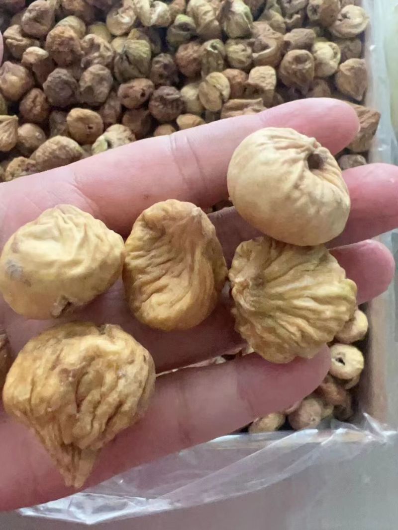 【质优】精品板栗粉糯香甜大量供应一手货源品质保证