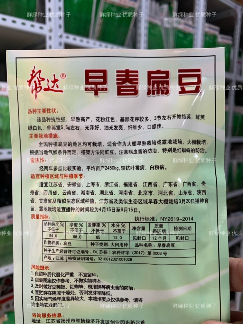 帮达早春扁豆绿眉豆种子绿白色纤维少口感佳