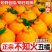 【精选】正宗四川不知火丑橘口感多汁现摘现发大吨位供应
