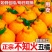 【精选】正宗四川不知火丑橘口感多汁现摘现发大吨位供应