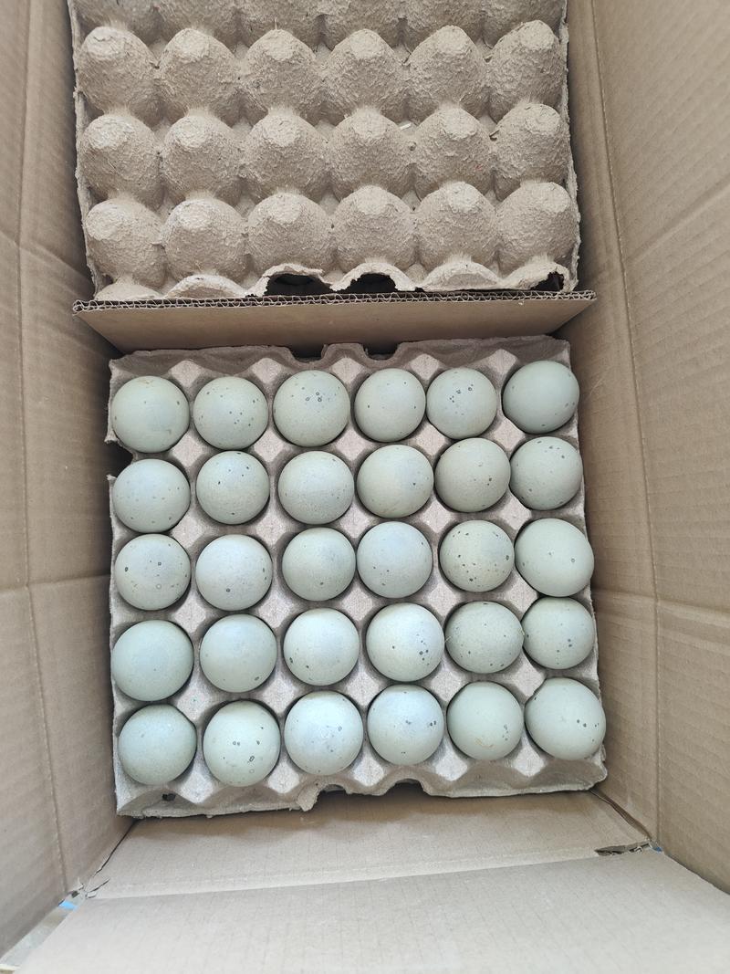 松花蛋，无铅工艺，蛋清硬实，无杂味，多种包装