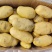 山东冷库土豆荷兰十五土豆大量现货出库,全国发货