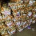 山东冷库土豆荷兰十五土豆大量现货出库,全国发货