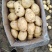 黄心土豆大量上市，欢迎骚扰！