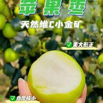 云南版纳苹果枣清新爽口的苹果枣天然维C