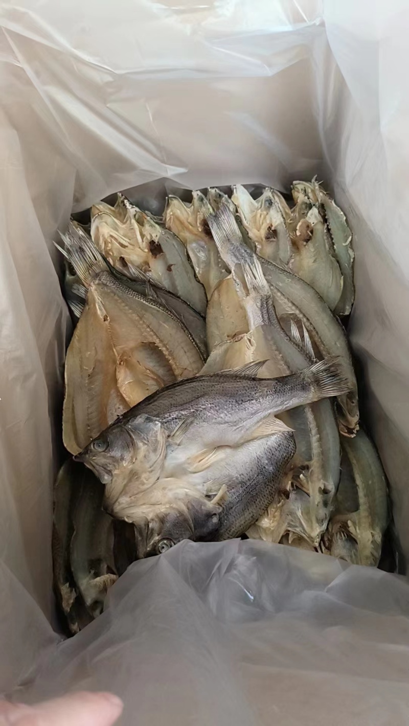 【厂家批发】优质鱼干切块肉质细腻嫩滑大量现货