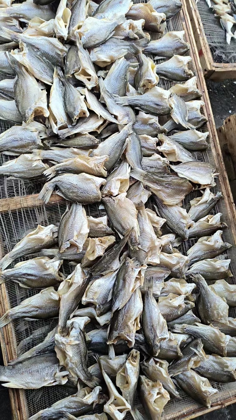 【厂家批发】优质鱼干切块肉质细腻嫩滑大量现货