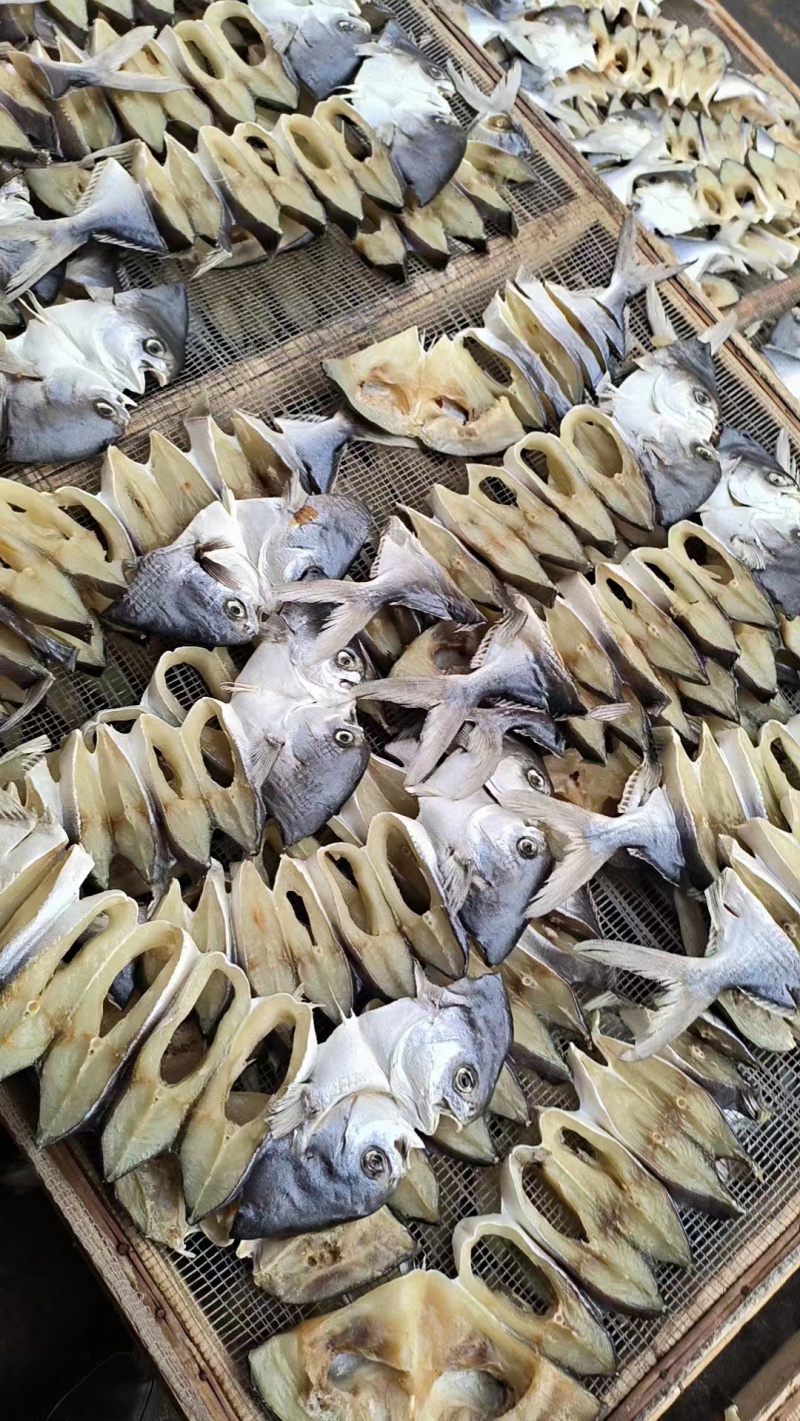 【厂家批发】优质鱼干切块肉质细腻嫩滑大量现货
