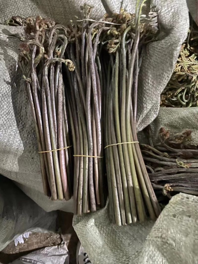 蕨菜龙爪菜甜蕨苦蕨市场货加工货一件代发全国发货