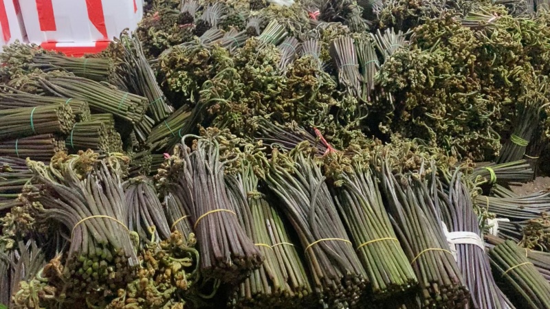 蕨菜龙爪菜甜蕨苦蕨市场货加工货一件代发全国发货