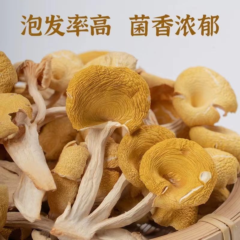 【鸡油菌干货】当季新货无硫熏无杂质新鲜采摘品质保