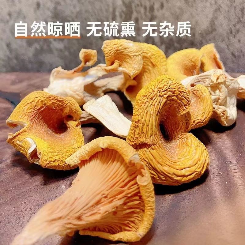 【鸡油菌干货】当季新货无硫熏无杂质新鲜采摘品质保