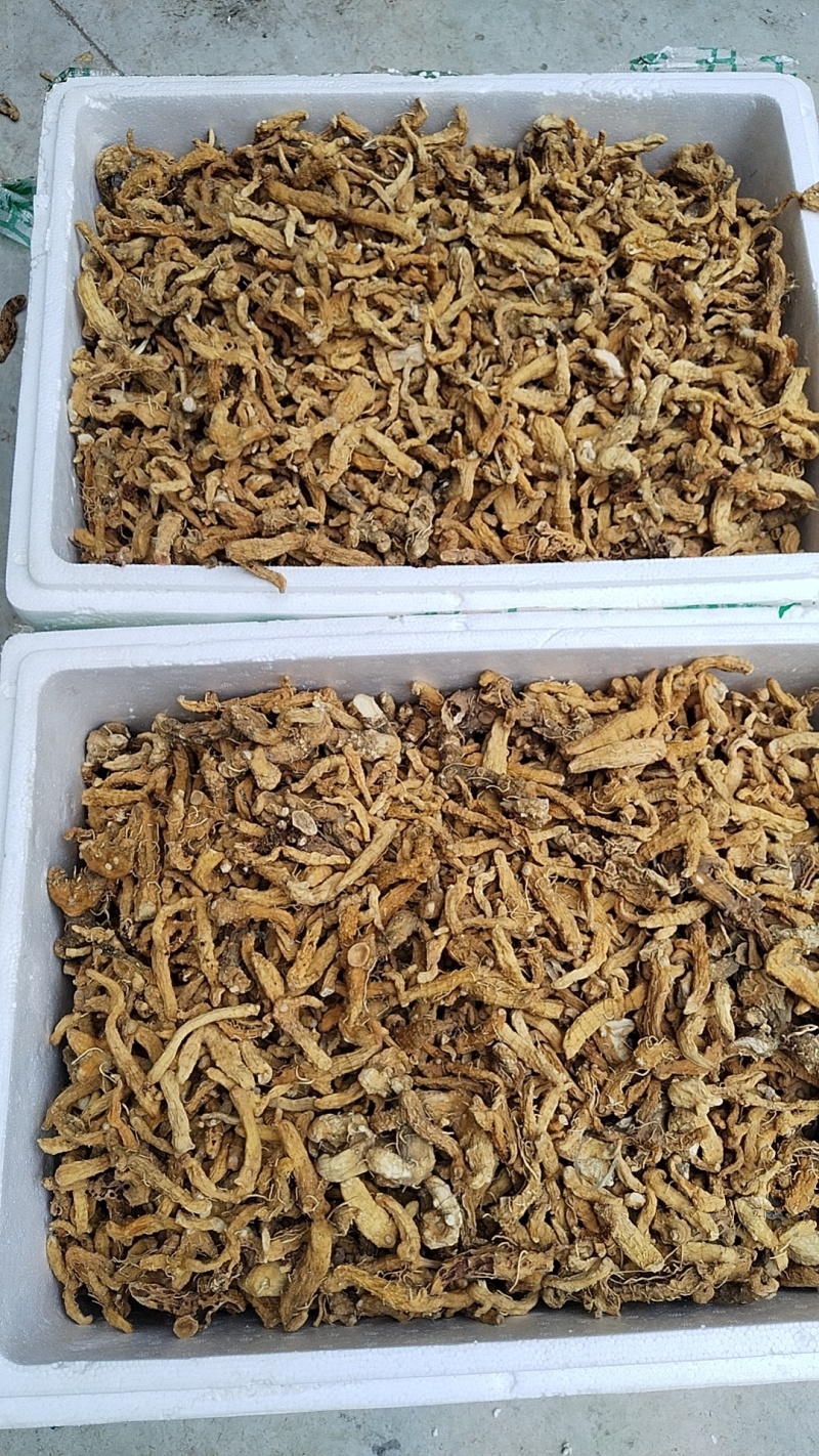 黄精干货统货，基地直发量大从优，品质保障