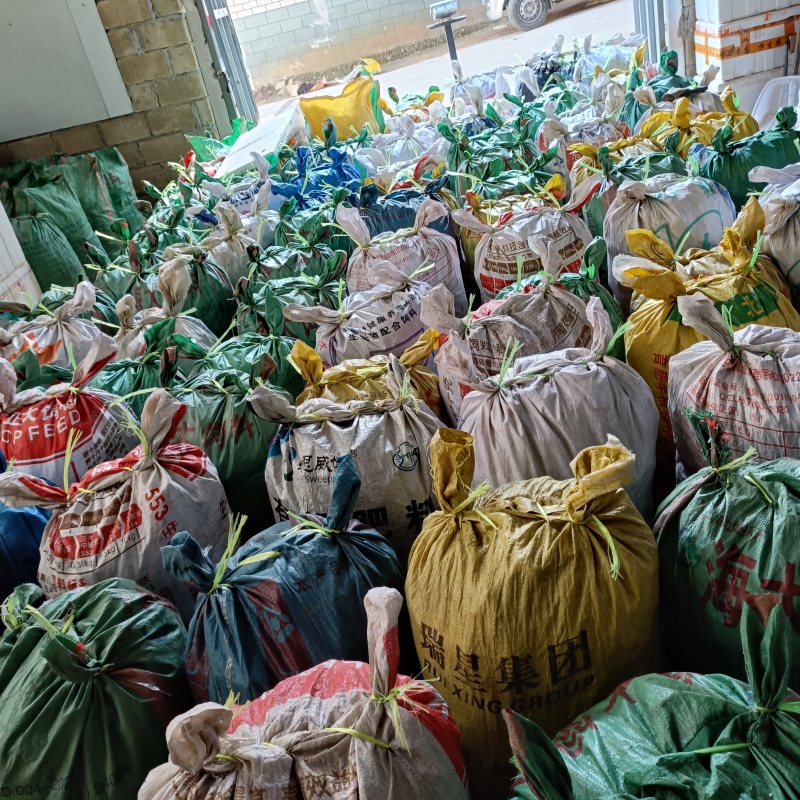 黄精干货统货，基地直发量大从优，品质保障