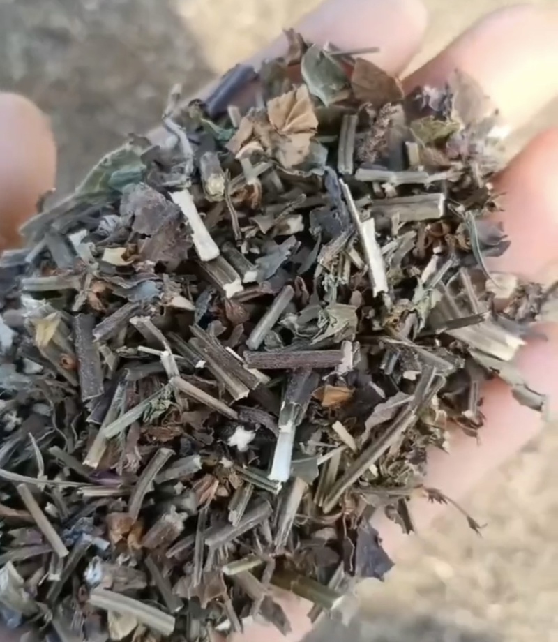 石见穿振兴药材购销站量大从优一站式采购