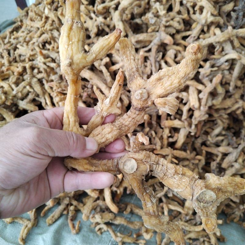 黄精干货统货，基地直发量大从优，品质保障
