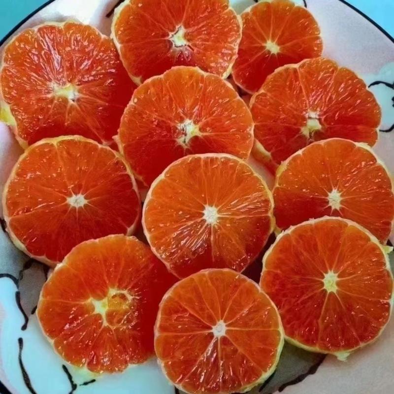 【实力】红橙湖北橙子中华红橙皮薄汁水充足电商市场