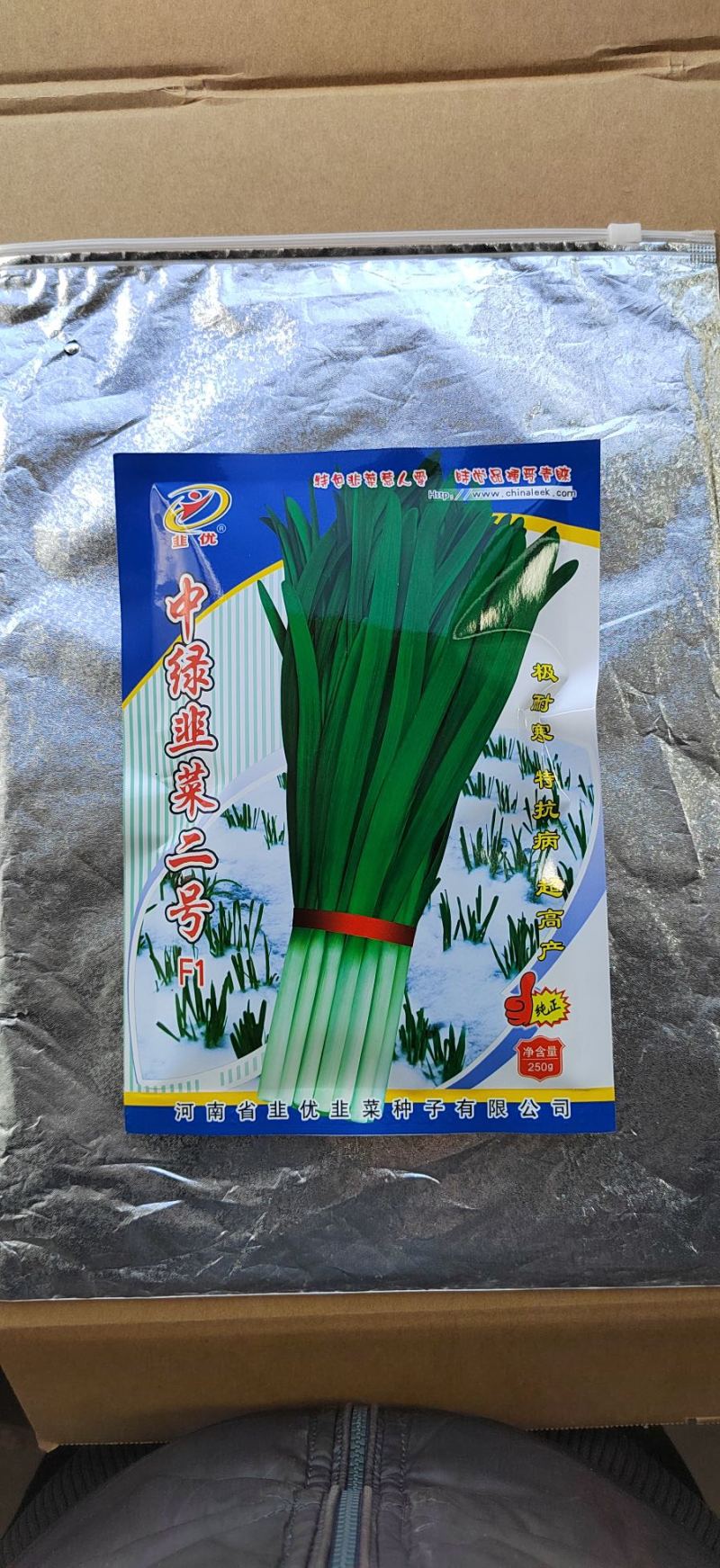 一级韭菜种子新品种-寒青韭98种子