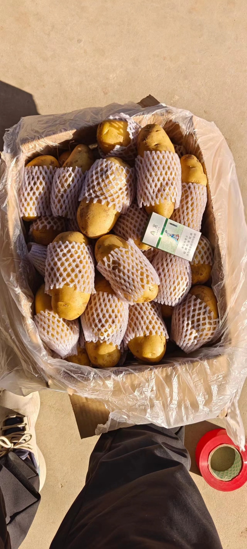 冷库黄心土豆荷兰十五土豆货源充足产地一手货源，全国发货，