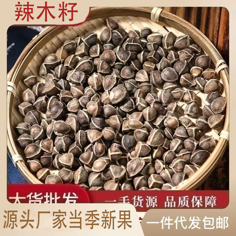 【新鲜云南辣木籽】休闲食用辣木籽大果颗粒新果散装