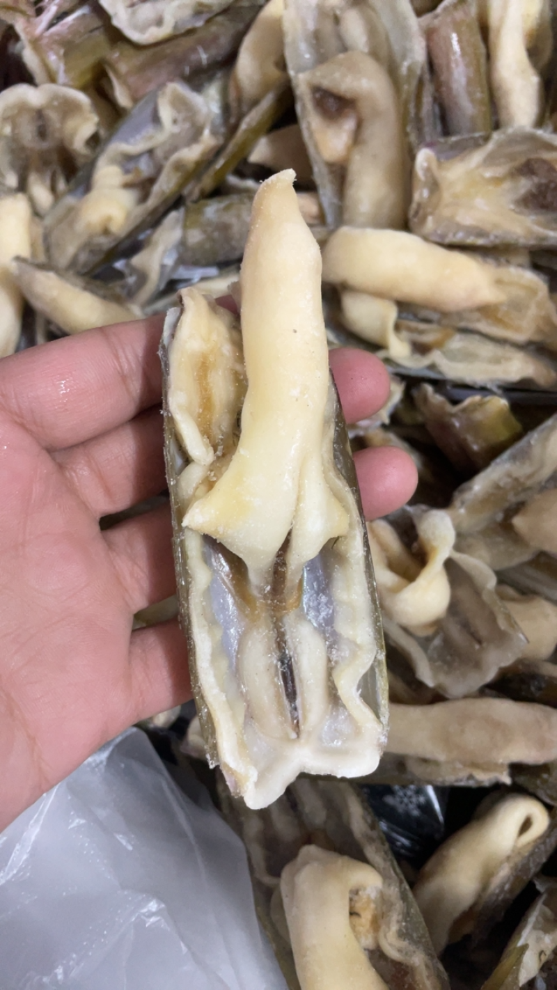 蛏王竹蛏子蛏王开片开片蛏王江苏水产批发