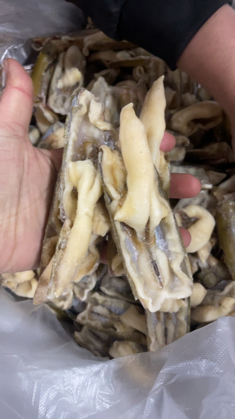 蛏王竹蛏子蛏王开片开片蛏王江苏水产批发