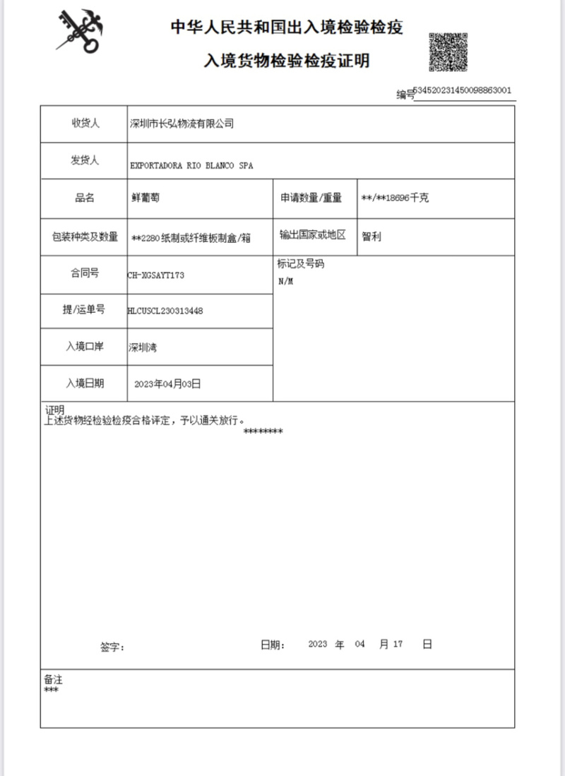 秘鲁玫瑰香黑提广州江南直发黑加仑果