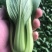 小青菜，小油菜，上海青，颜色亮，货量充足，价格优惠，电联