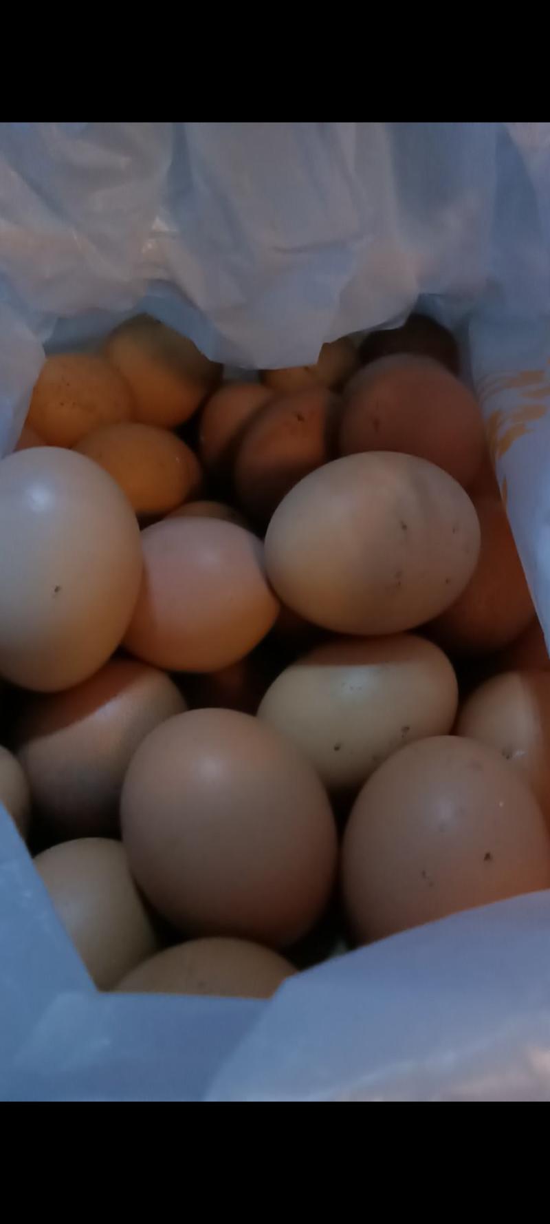 家里母鸡生的土鸡蛋