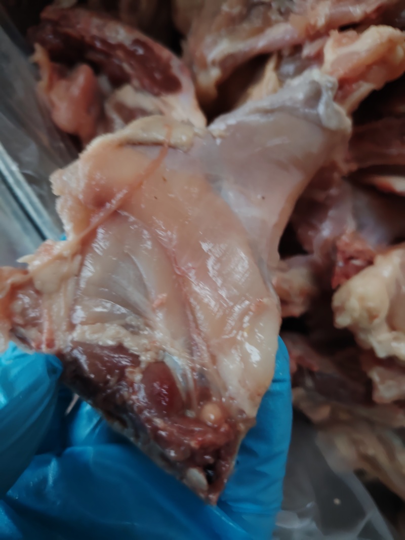 鸡架块2米一斤工地食堂肉多免清理鸡架块