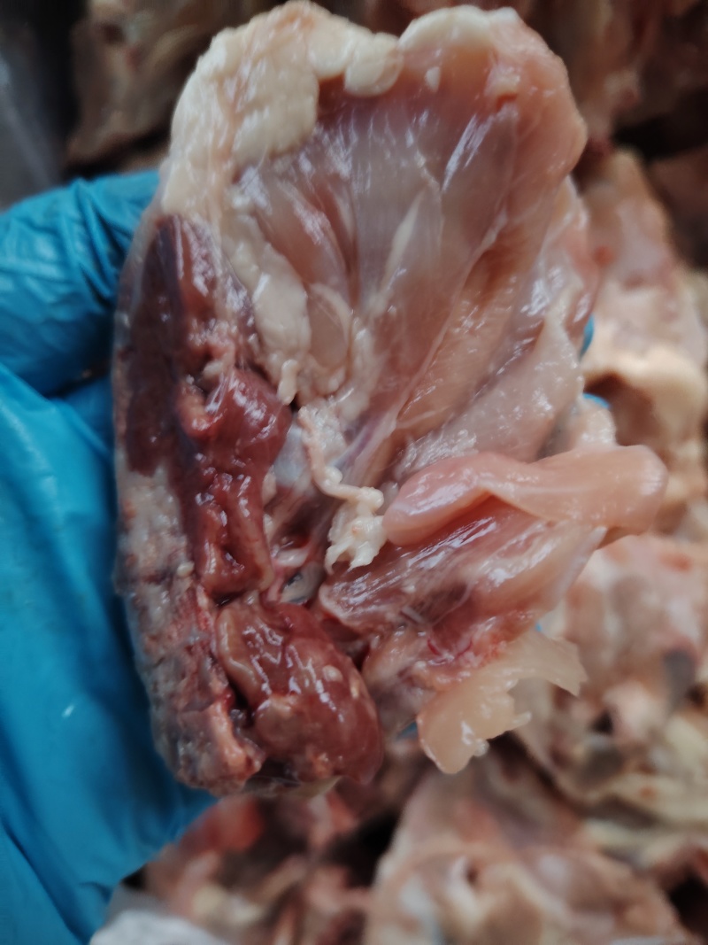 鸡架块2米一斤工地食堂肉多免清理鸡架块