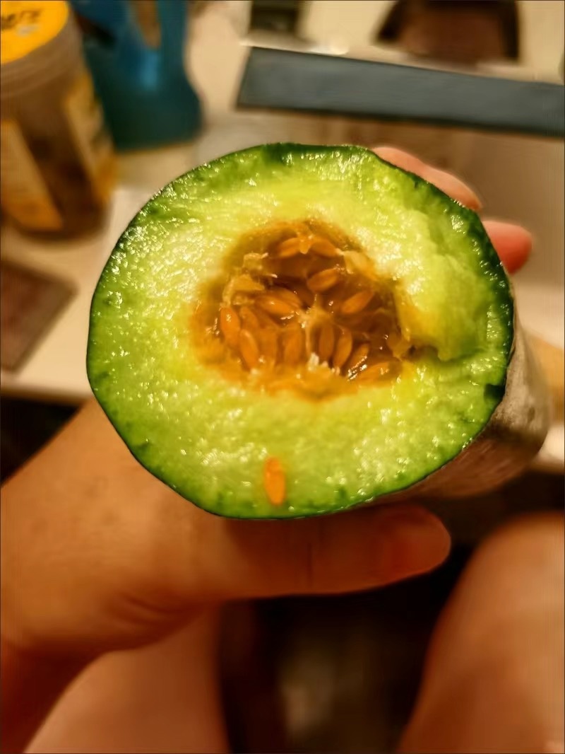 山东头茬羊角蜜电商一件代发，全年发货。没有次货。
