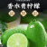 海南香水柠檬新鲜无籽青柠檬薄皮奶茶店专用应季水果整箱批发