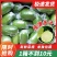 海南香水柠檬新鲜无籽青柠檬薄皮奶茶店专用应季水果整箱批发