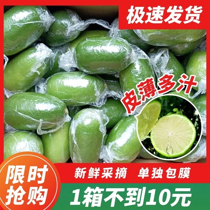 海南香水柠檬新鲜无籽青柠檬薄皮奶茶店专用应季水果整箱批发