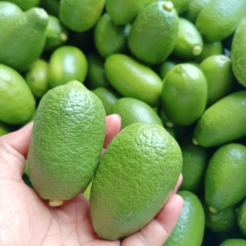 海南香水柠檬新鲜无籽青柠檬薄皮奶茶店专用应季水果整箱批发