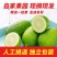 海南香水柠檬新鲜无籽青柠檬薄皮奶茶店专用应季水果整箱批发