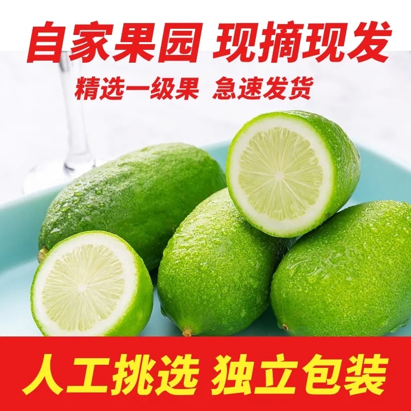 海南香水柠檬新鲜无籽青柠檬薄皮奶茶店专用应季水果整箱批发