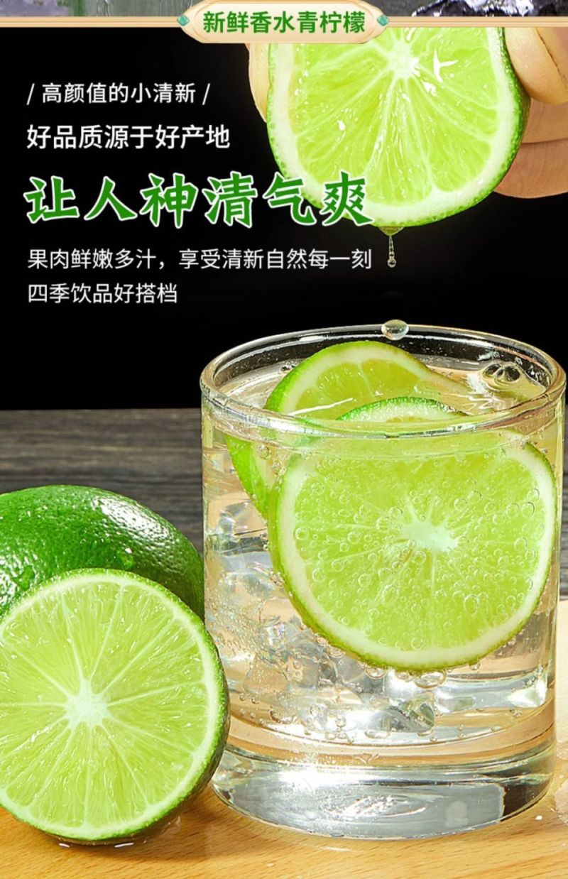 海南香水柠檬新鲜无籽青柠檬薄皮奶茶店专用应季水果整箱批发