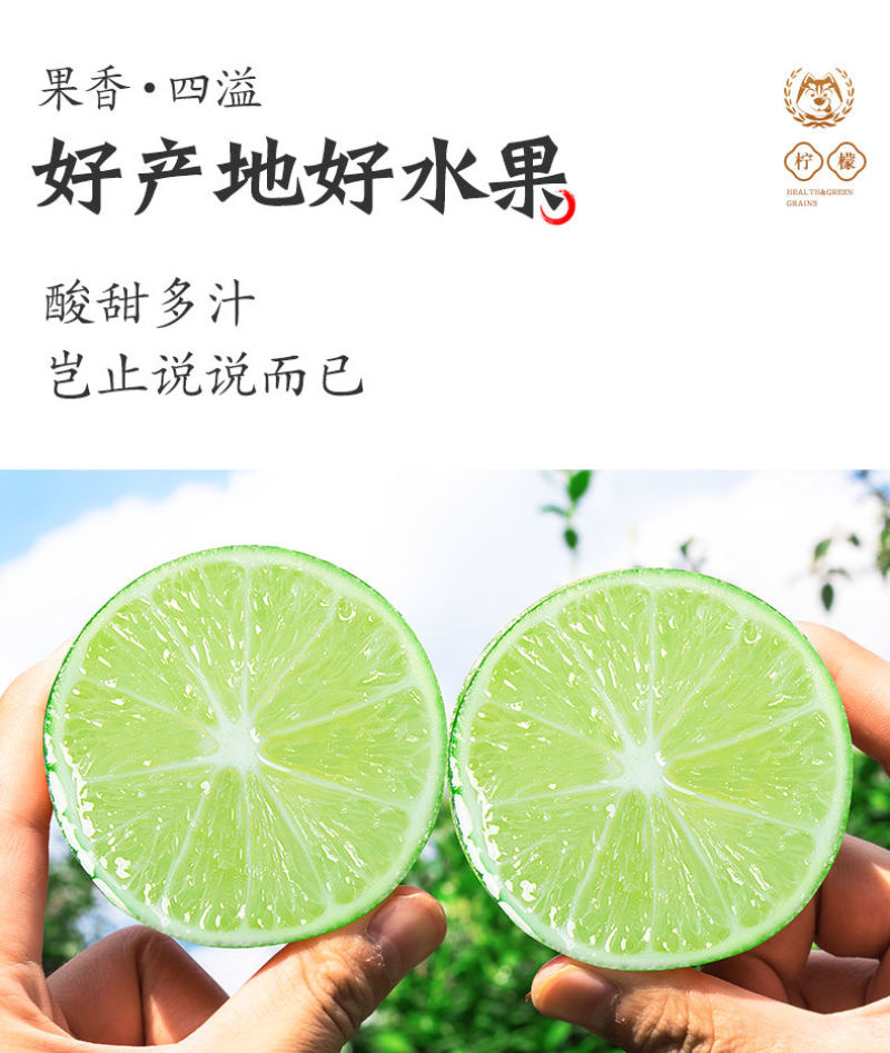 海南香水柠檬新鲜无籽青柠檬薄皮奶茶店专用应季水果整箱批发