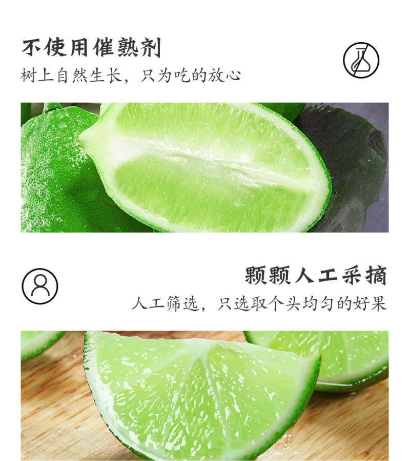 海南香水柠檬新鲜无籽青柠檬薄皮奶茶店专用应季水果整箱批发