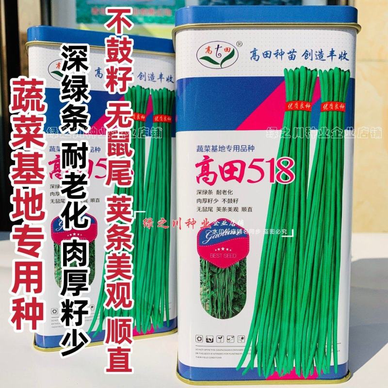高田518豆角种子特长黑眉豇豆种子紫花超长豆角种籽深绿条