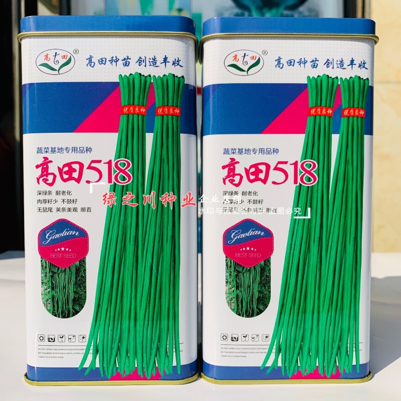 高田518豆角种子特长黑眉豇豆种子紫花超长豆角种籽深绿条