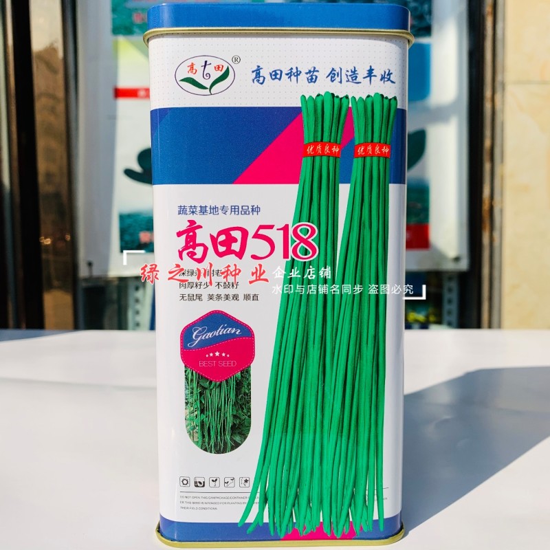 高田518豆角种子特长黑眉豇豆种子紫花超长豆角种籽深绿条
