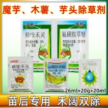 青岛现代芋酷芋头魔芋木薯苗后田地槟榔芋香芋苗后除草组合